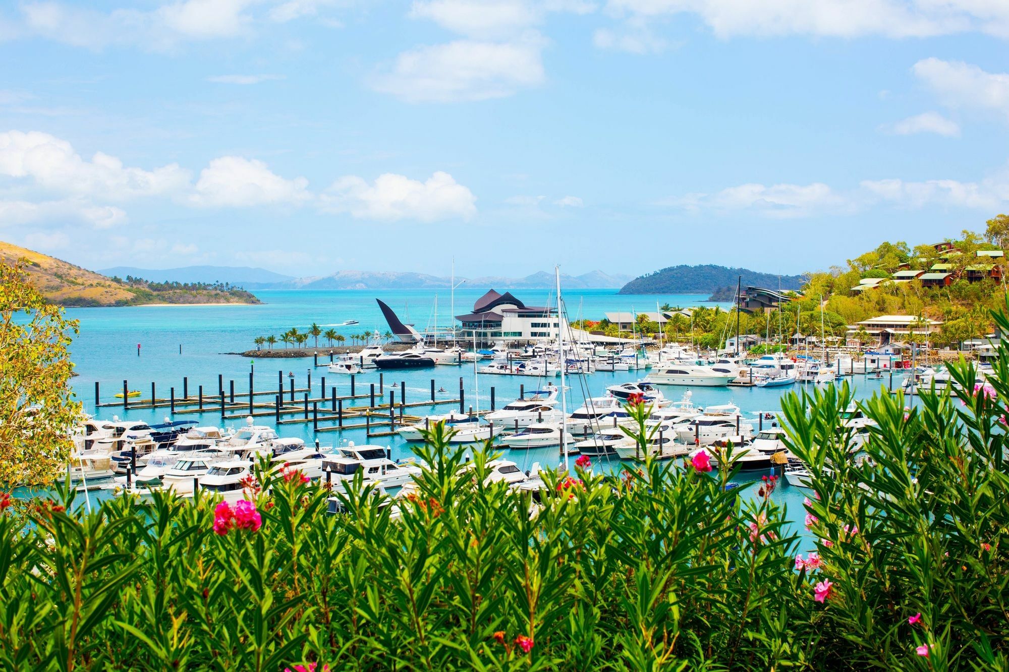Palm Bungalows Hamilton Island Dış mekan fotoğraf