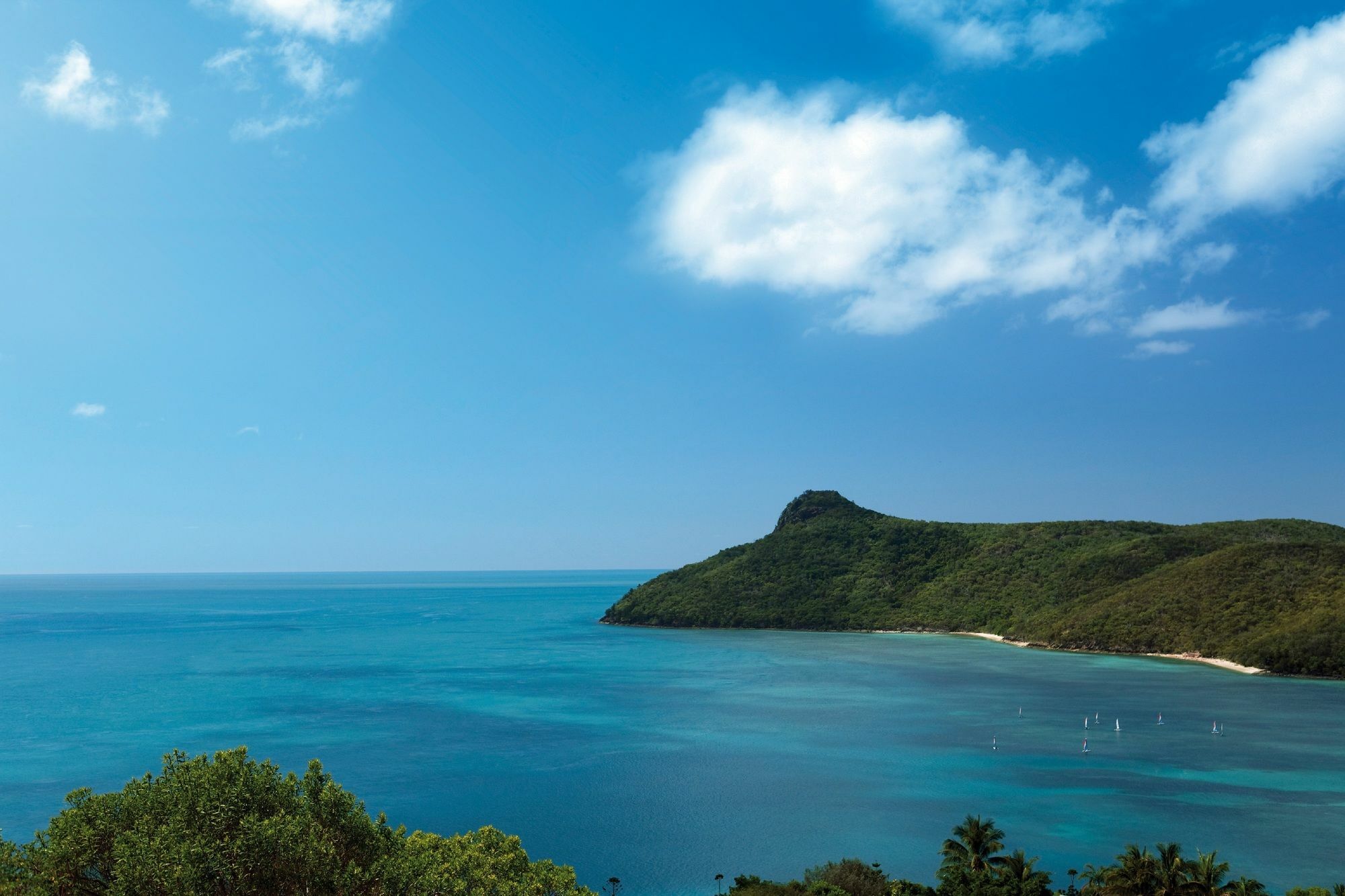 Palm Bungalows Hamilton Island Dış mekan fotoğraf