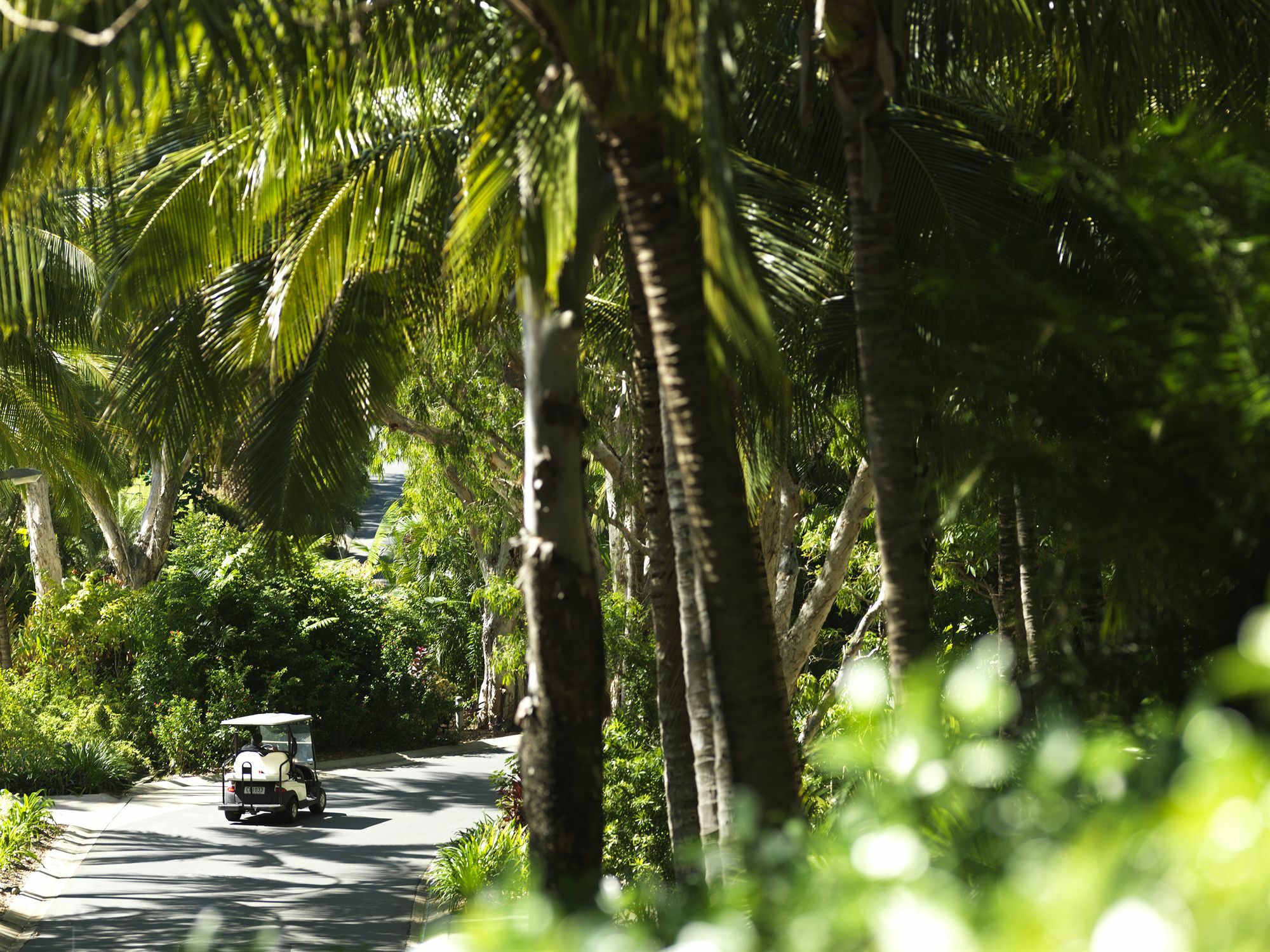 Palm Bungalows Hamilton Island Dış mekan fotoğraf